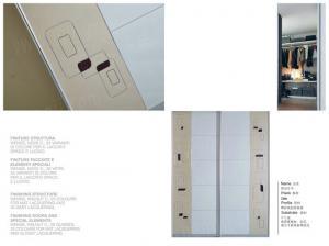 芬迪衣柜移動(dòng)門案例 5